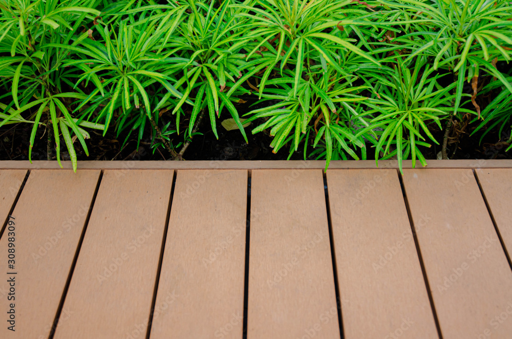 Beautiful garden decoration idea. Beautiful garden decoration idea.