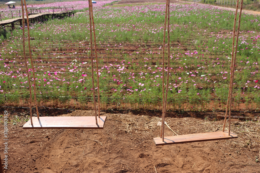 Fototapeta premium Swings in the flower garden