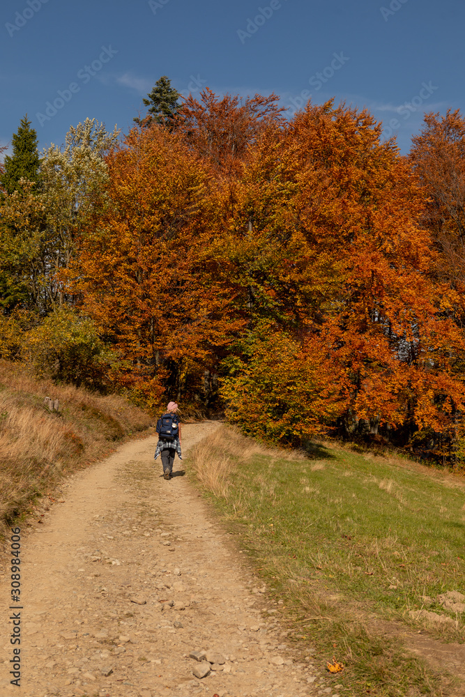 Hiker woman with backpack walking in the mountains in autumn scenery. Lifestyle and adventure concept. Active vacations into the wild