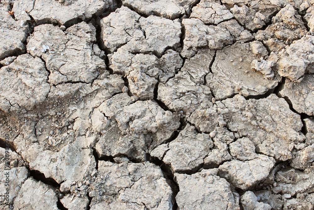 Cracked ground as a background Cracked ground as a background