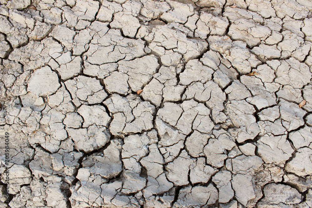 Cracked ground as a background Cracked ground as a background