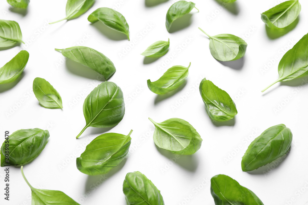 Fresh green basil leaves on white background Fresh green basil leaves on white background