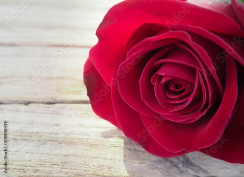 red rose on wooden table for background, valentines day background