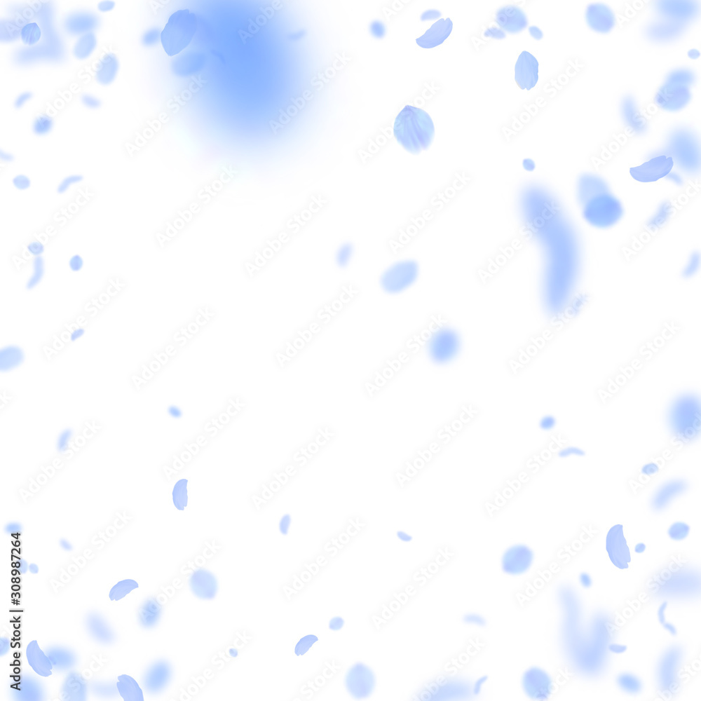 Dark blue flower petals falling down. Captivating Dark blue flower petals falling down. Captivating