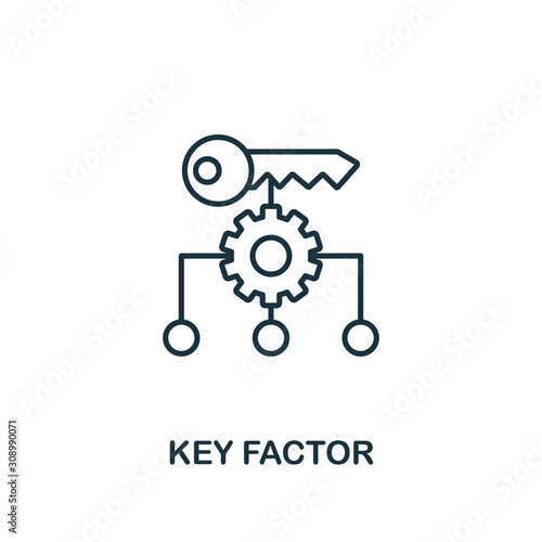 Key Factor icon. Line style element from business strategy collection. Thin Key Factor icon for web design, software and infographics