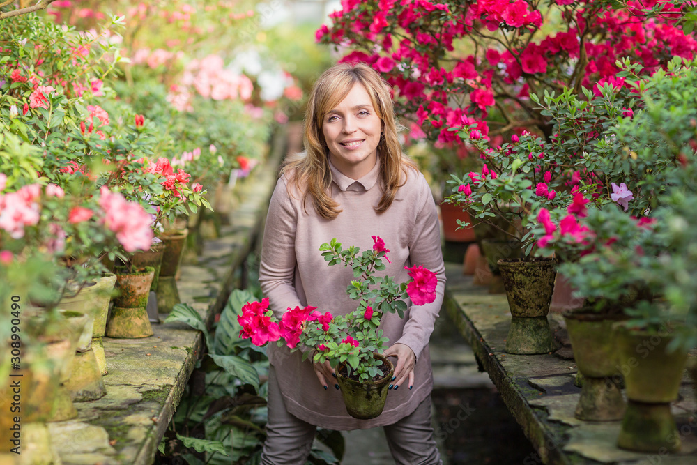 Beautiful woman watering plants and gardening in greenhouse. Beautiful woman watering plants and gardening in greenhouse.