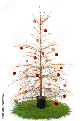 Dried Christmas tree with balls on branches, needles crumbled. Isolated on white background