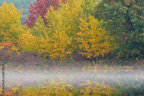 Autumn landscape in fog, Hall Lake, Yankee Springs State Park, Michigan, USA