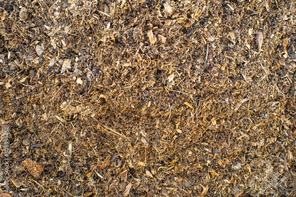 sawdust, manure, soil, texture background. Manure, sawdust, dry leaves, nutrient in the soil for cultivation sawdust, manure, soil, texture background. Manure, sawdust, dry leaves, nutrient in the soil for cultivation