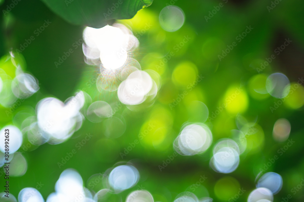 Summer background, bright sun texture, soft focus. selective focus blurred background Summer background, bright sun texture, soft focus. selective focus blurred background