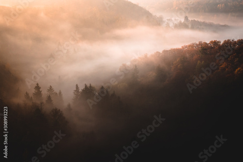 fog in the valley