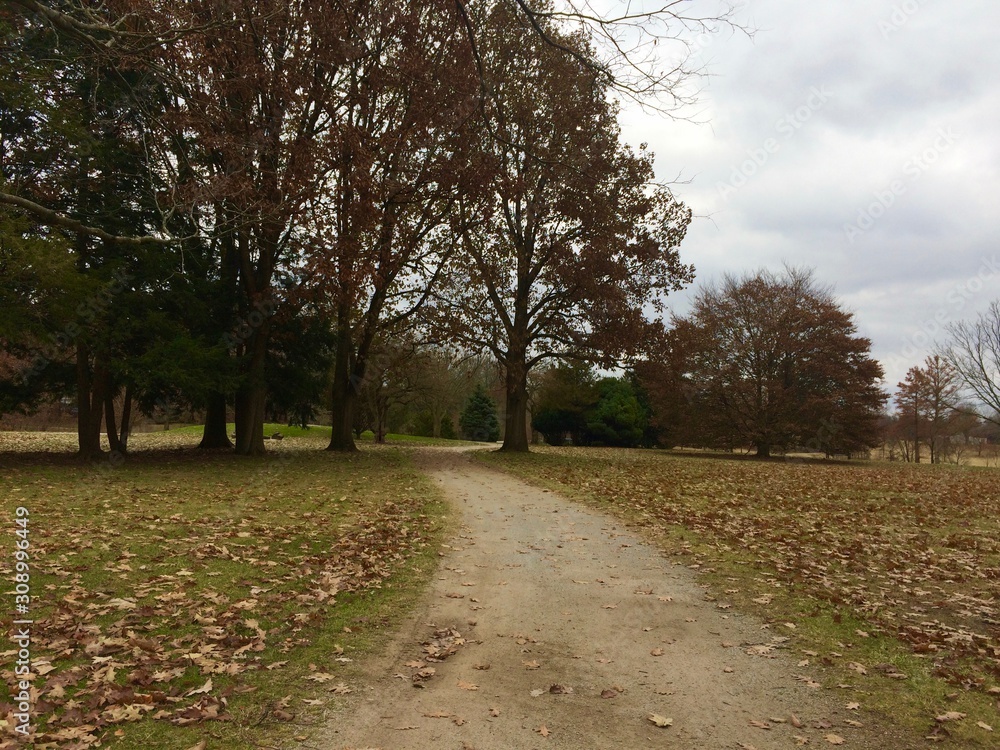 Naklejka premium walking path in park on a cloudy autumn day