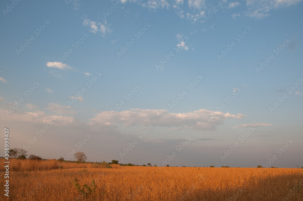 Fototapeta premium 2019_october_brazil_trip