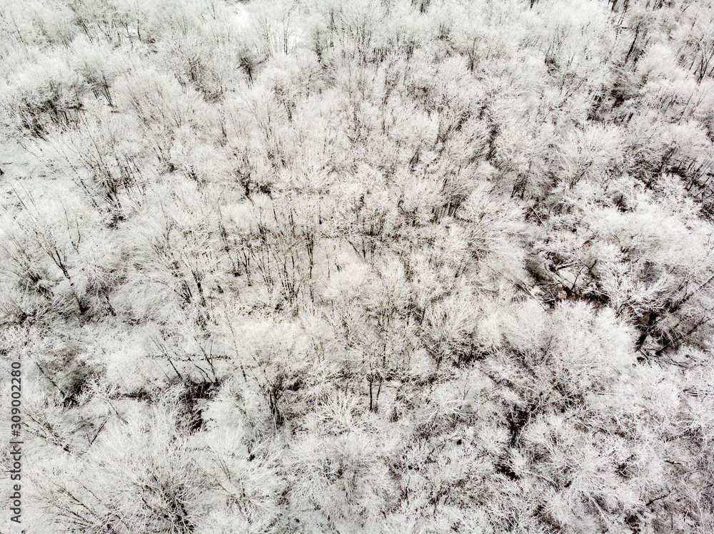 Fototapeta premium Aerial Drone Photo of Trees Frozen with Snow in New Jersey