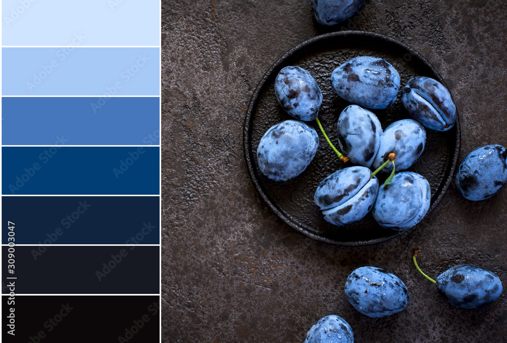 Color matching palette from Dark blue plums in cast iron plate. Food  background in trendy blue colors Photos | Adobe Stock