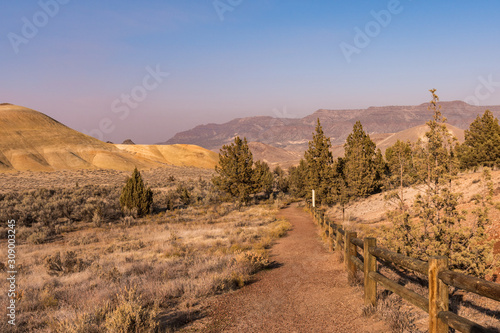 The pathway of the Leaf Hill trail in Painted Hills