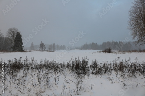 Endless snow fields
