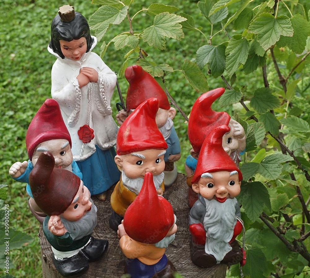 Fotografie, Obraz Cute garden Gnomes-snow White and the seven Dwarfs