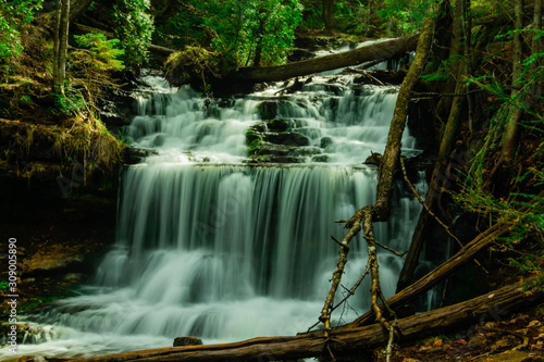 waterfall in forest