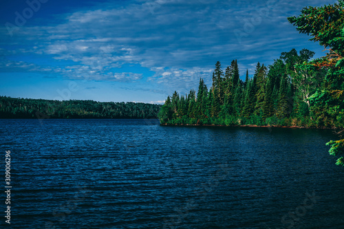 lake in deep forest