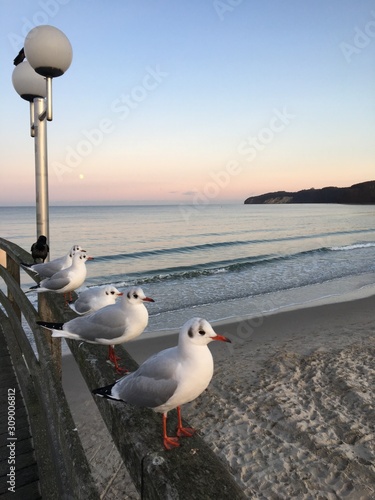Strand und die Seebrücke in binz an der Ostsee
