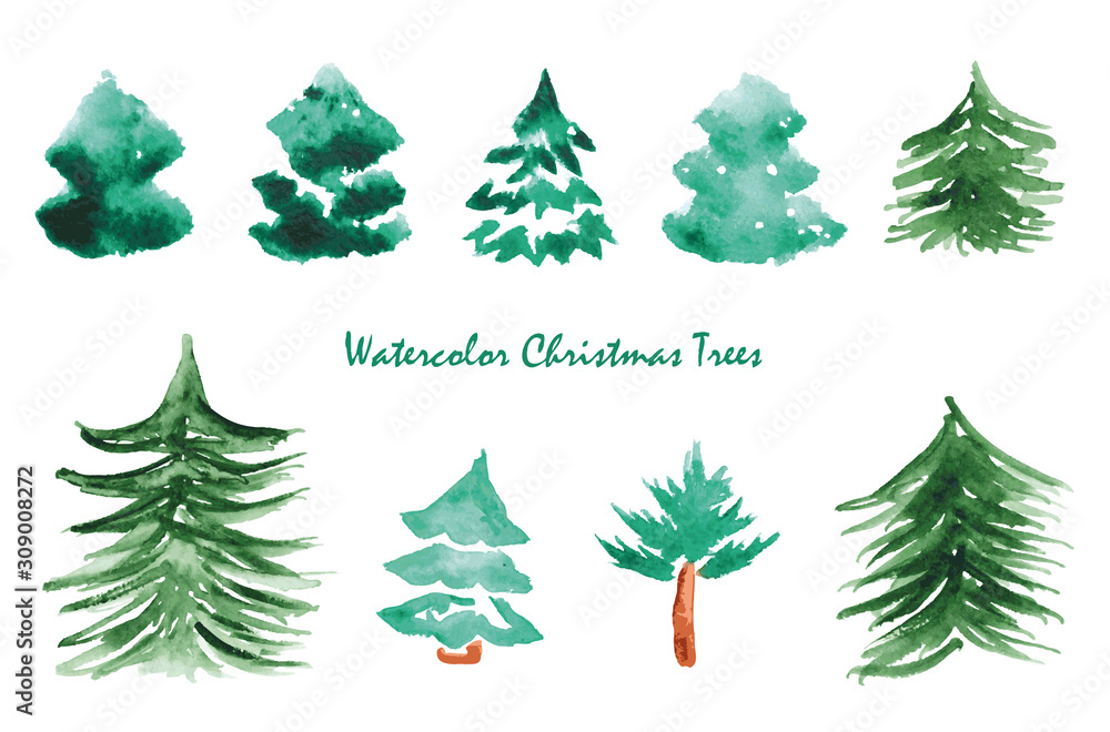 Watercolor set of Christmas Trees. Hand painted illustration