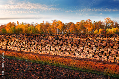 Rows of cutted peat at an excavation side in a peat bog at Northwestern Germany