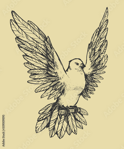 Beautiful flying dove. Flying pigeon with wings.
