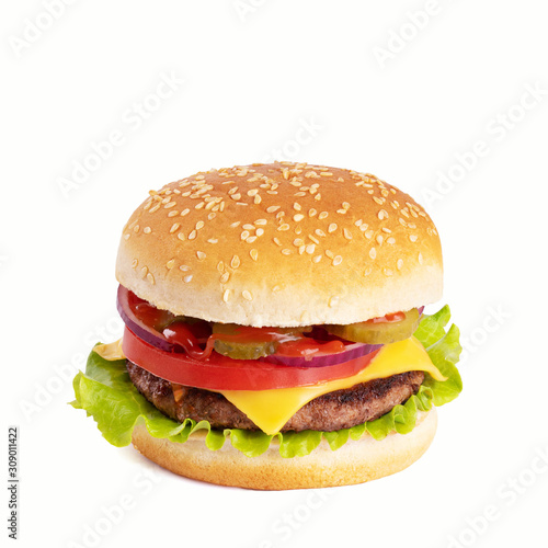Tasty burger with cheese isolated on white background