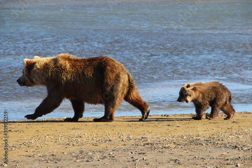 Alaska