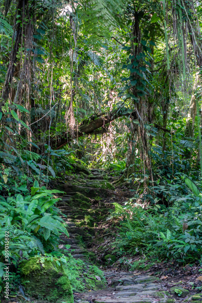 Obraz premium Ciudad perdida