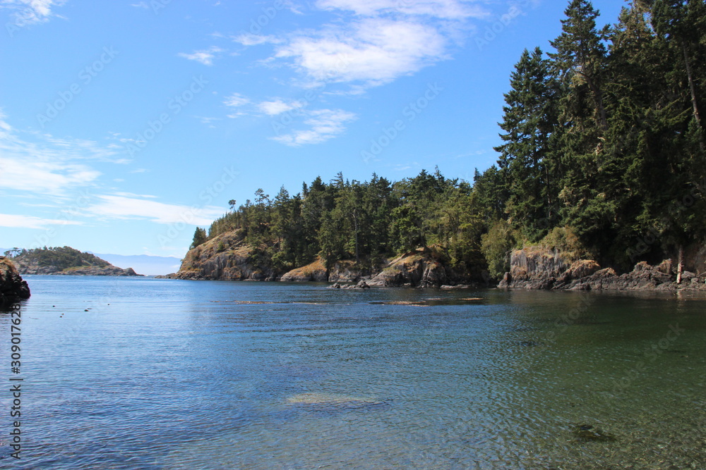 Naklejka premium Vancouver Island