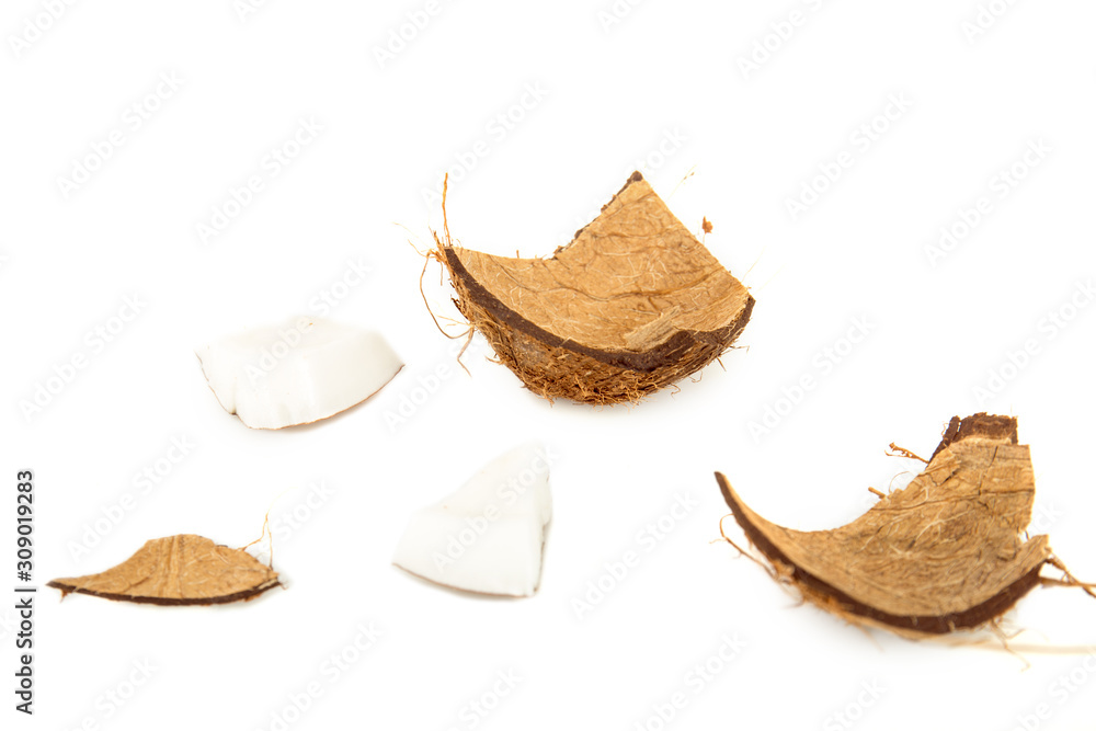 exotic ripe coconut pieces isolated on white exotic ripe coconut pieces isolated on white