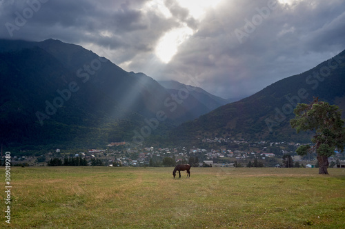 the sun's rays through the clouds illuminate the meadows in the mountains