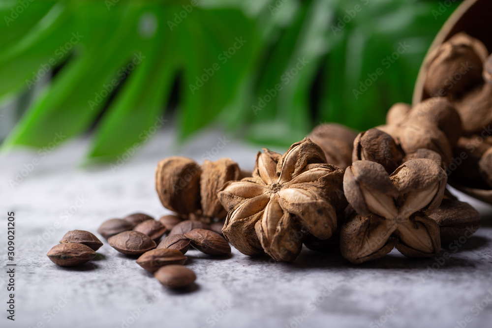 A pile of dried Sacha Inchi nuts. Natural background in lighting studio