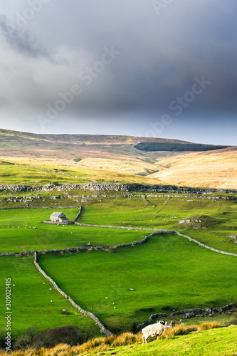 Darnbrook moor. Yorkshire Dales photo