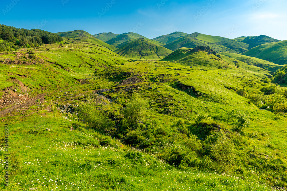 Fototapeta premium Beautiful landscape juicy green gentle mountains and hills in June, sunny Armenia