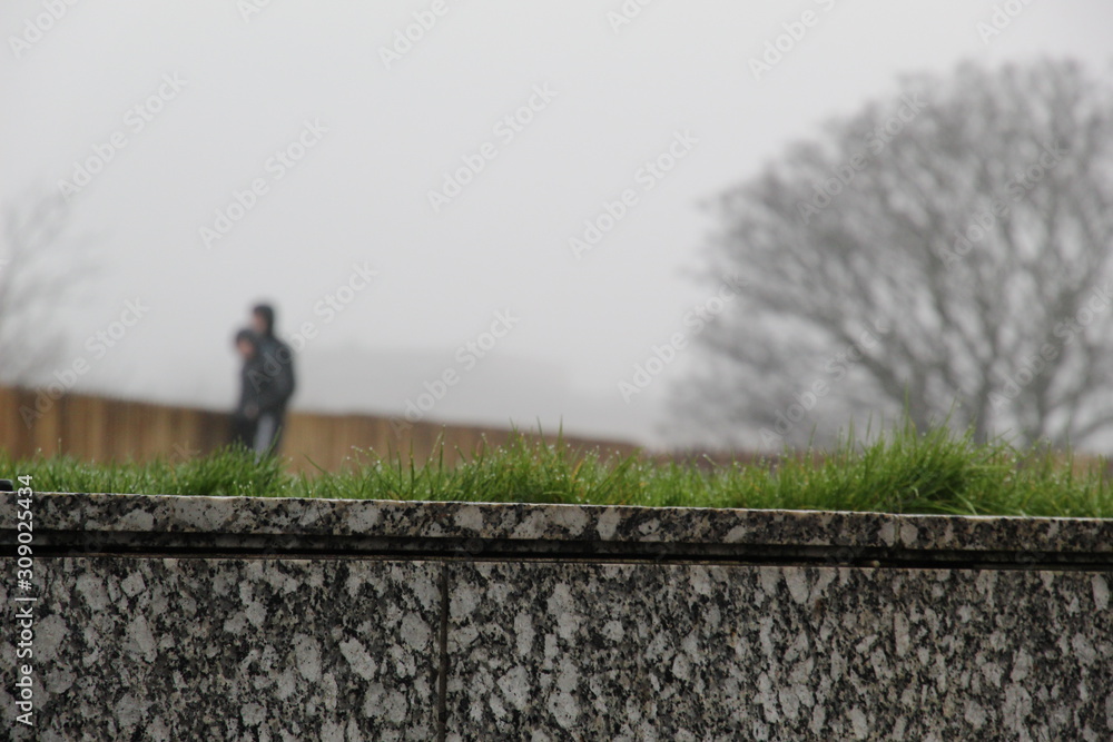 Obraz premium two youths in the fog