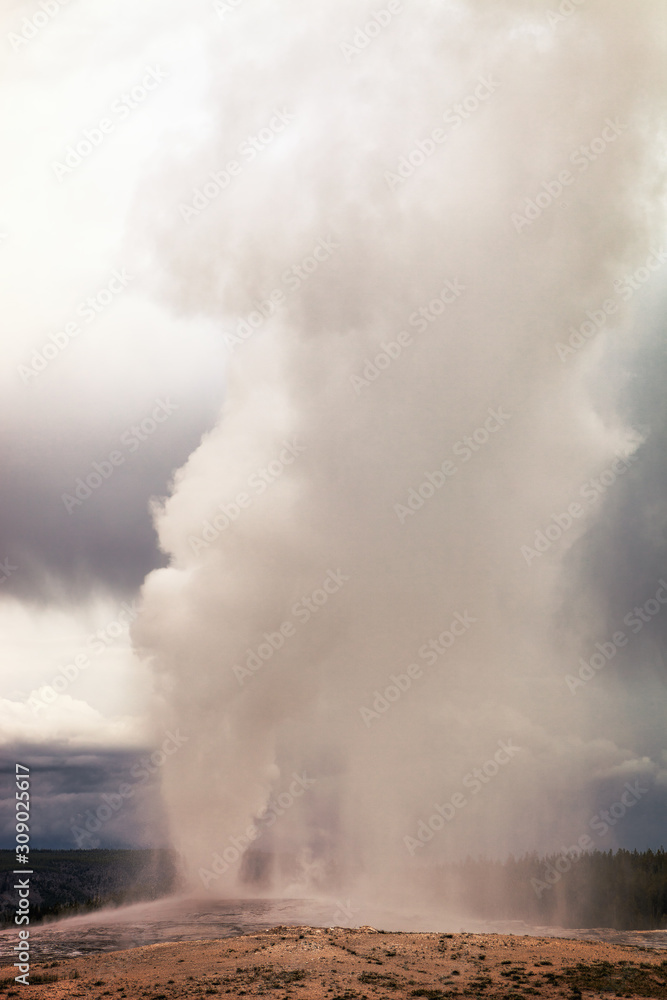 Water and steam explosion of the Old Faithful Geyser, Yellowstone National Park, Wyoming, USA