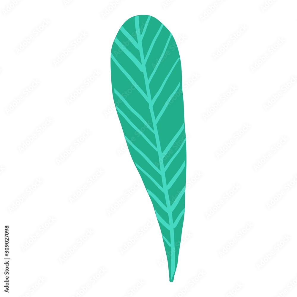 Long tropical leaf icon. Cartoon abstract vector icon for web design isolated on white background. Long tropical leaf icon. Cartoon abstract vector icon for web design isolated on white background.