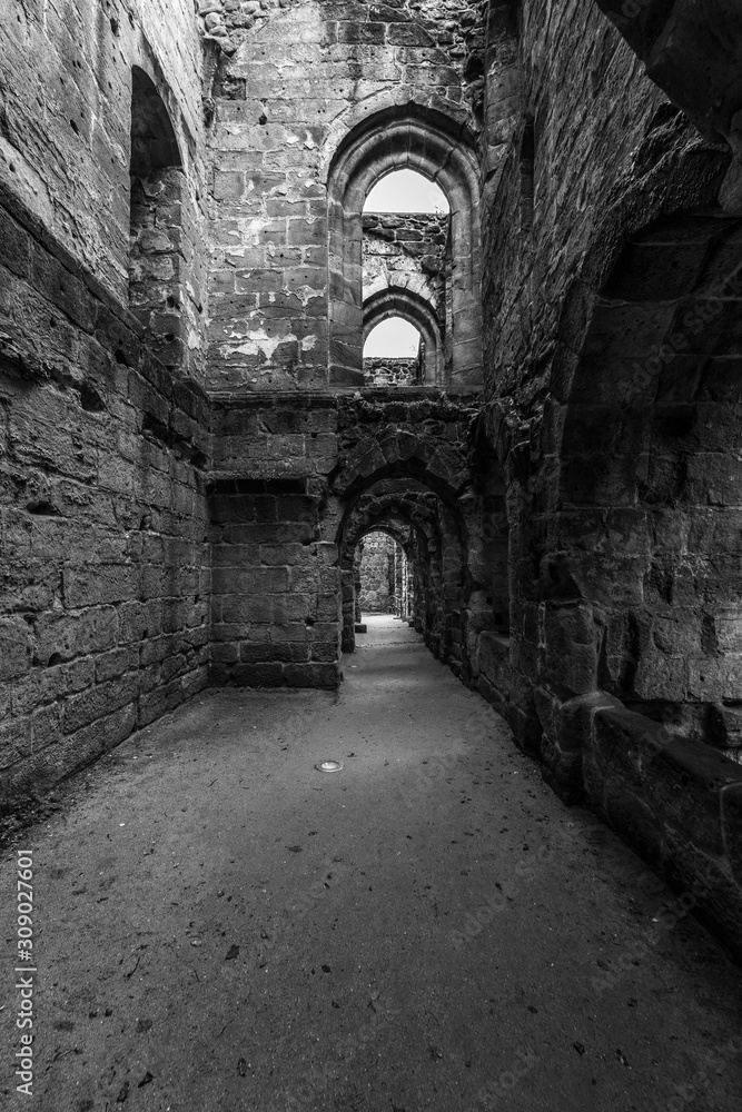The ruins of Burg Oybin, founded as Celestines monastery in 1369 in the Zittau Mountains on the border of Germany (Saxony) with the Czech Republic. Black and white.
