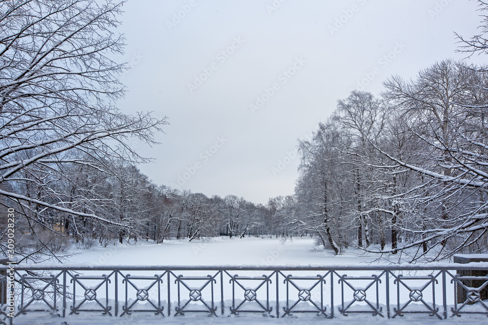 beautiful winter park in the snow, a fence in the foreground, landscape, a winter fairy tale beautiful winter park in the snow, a fence in the foreground, landscape, a winter fairy tale