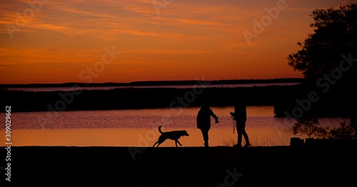 Sunset over Assateague Island over marshes  salt water bay with silhouette