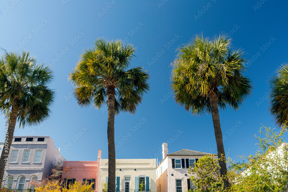 Naklejka premium A popular tourist destination and known for its beautiful historic district, Charleston, South Carolina is home to a unique collection of antebellum and Georgian homes.