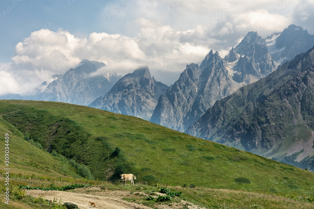 landscape in the caucasus