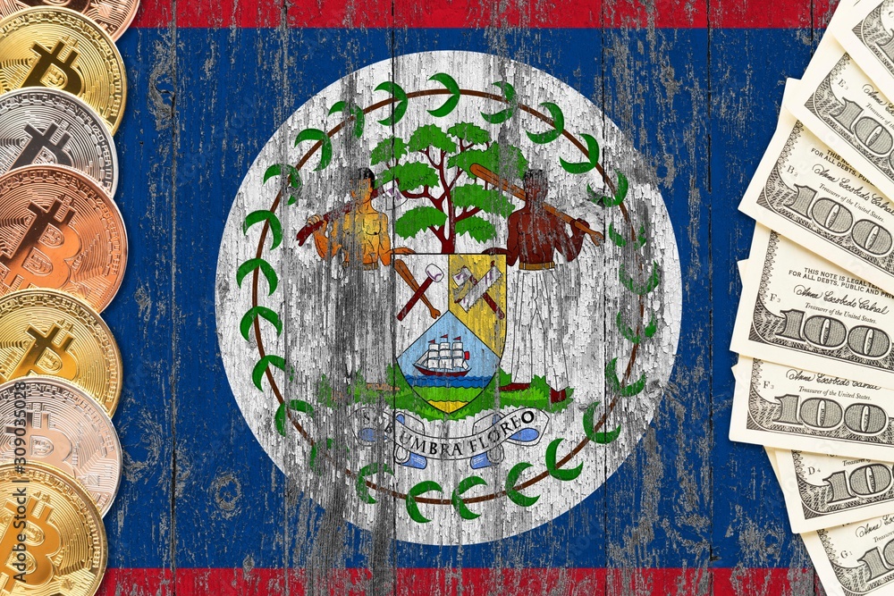Obraz premium Belize savings concept. Bitcoins and dollar banknotes on the side of national flag with wooden background. Trading currencies.