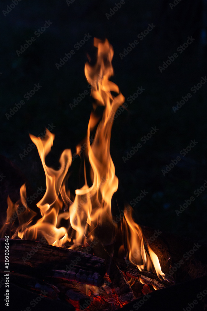 tongues of bright yellow flame of the kindled fire tend upwards tongues of bright yellow flame of the kindled fire tend upwards