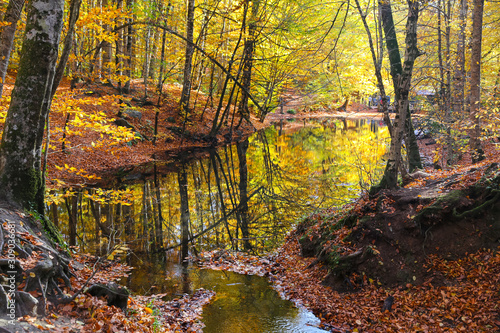 Sazli Lake in Yedigoller National Park, Bolu, Turkey photo