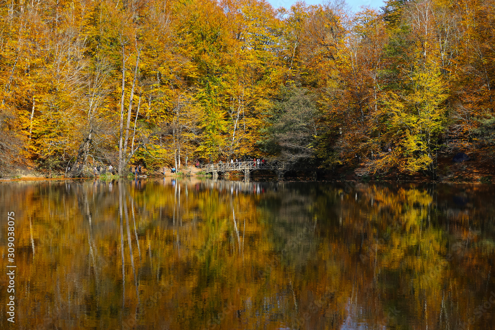 Buyuk Lake in Yedigoller National Park, Bolu, Turkey Buyuk Lake in Yedigoller National Park, Bolu, Turkey