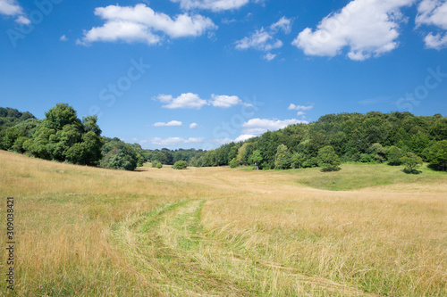 Slovakia - The landscape of Plesivecka planina in national park Slovensky Kras.